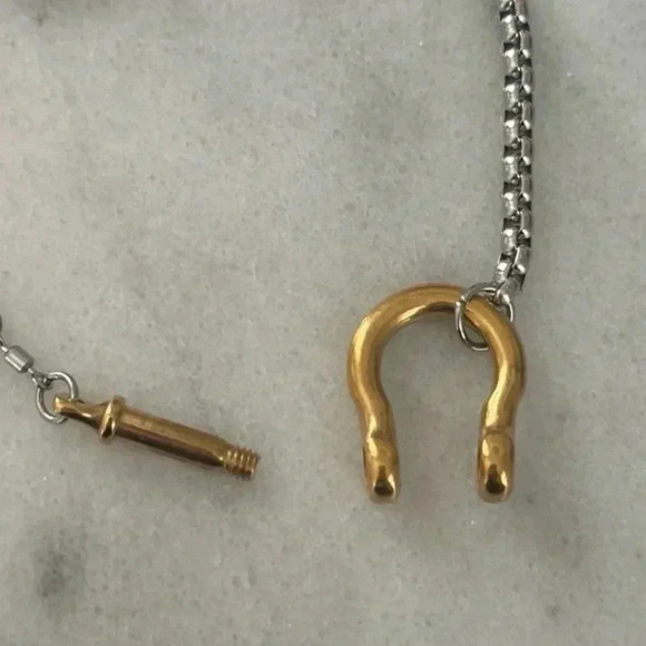 COPY - COPY - COPY - COPY - Gold Chain Two Tone Silver Horse Bit Chunky Necklace - Picture 3 of 4